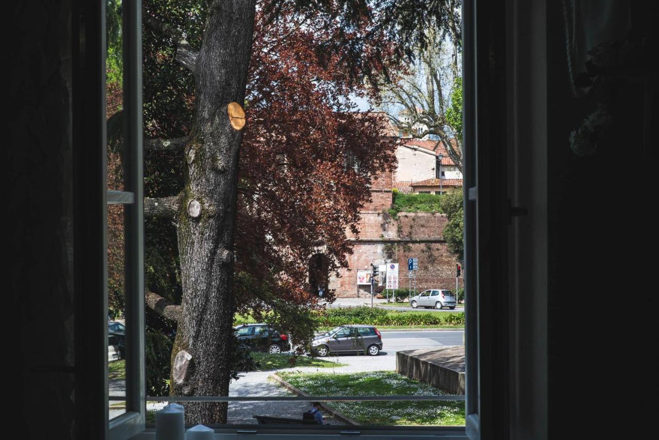 Belvedere Luxury Apartment, View On The Lucca Walls Kültér fotó